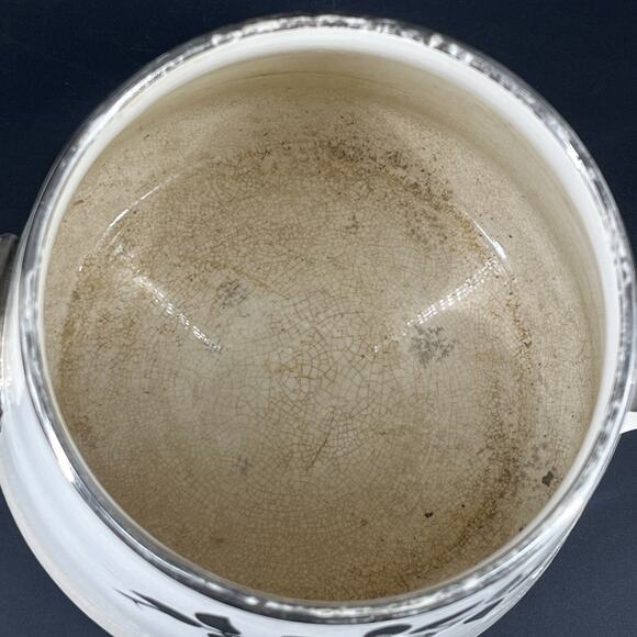 Buffalo Pottery Royal Rochester Vitrified Hand Painted Teapot Antique Insert - Picture 15 of 16